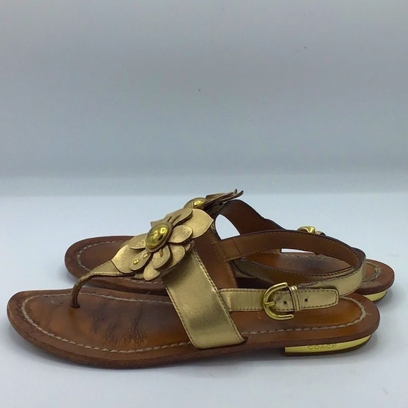 Coach Gold Sari Metallic Flowers Leather Sandals Size 8 - Picture 5 of 14